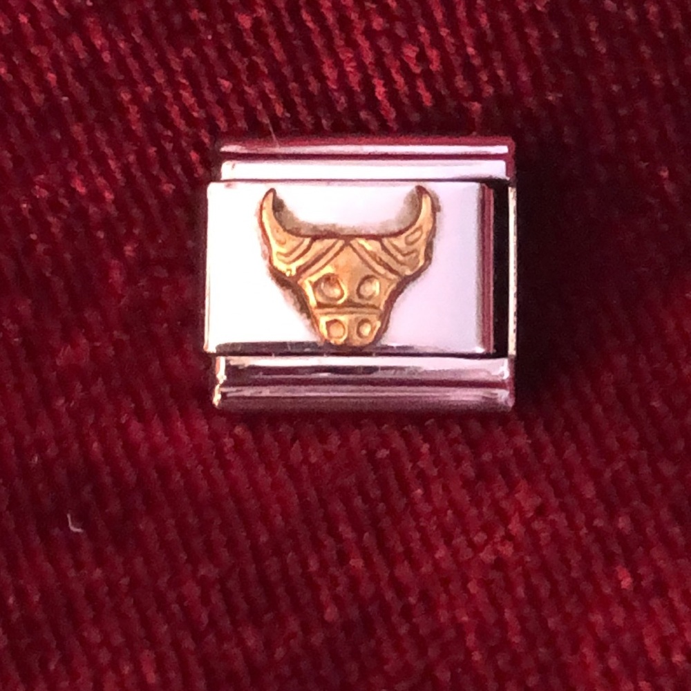 Taurus or bull link for Italian charm bracelet